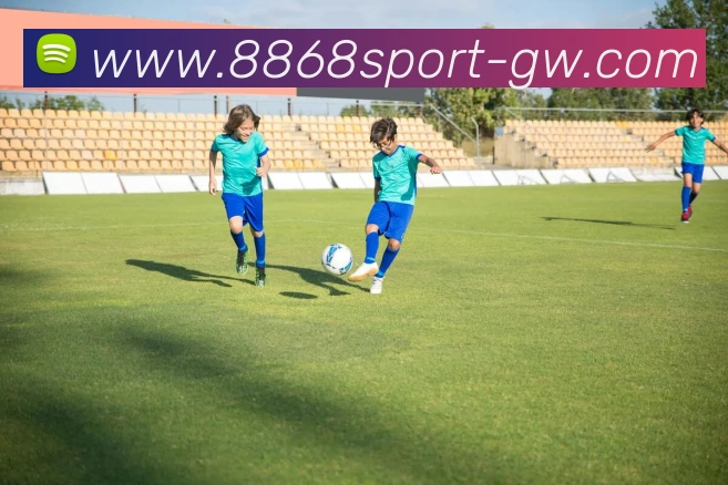 8868体育APP 封面图